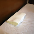 Memory Butterfly Contour Pillow