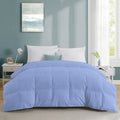  Best Affordable Luxury 300 GSM Comforter – Lightweight Warmth for Mild Winter (sky blue) 