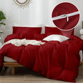 Razzai Super Soft Microfiber Piece Razzai Cover/ Duvet Cover and 2 Pillow Cover (18X28 Inches)