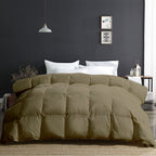 300 GSM All Weather Comforter |Beige | Microfiber ,lightweight|