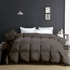 300 GSM Comforter For All Weather |Dark Grey | Microfiber, lightweight|