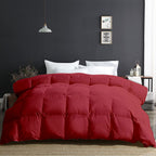 300 GSM All Weather Comforter |Burgundy | Microfiber & lightweight|